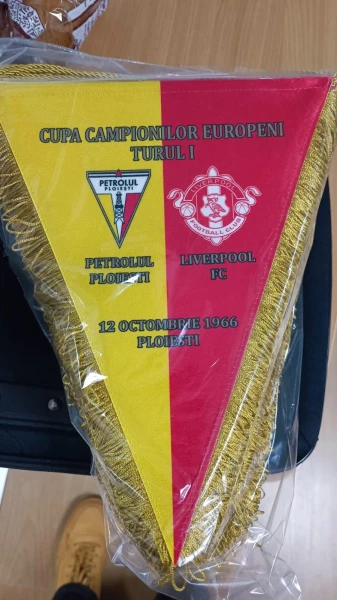 Fanion oficial